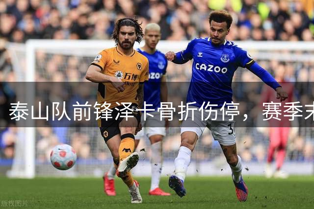 泰山队前锋泽卡骨折伤停，赛季末四战成疑
