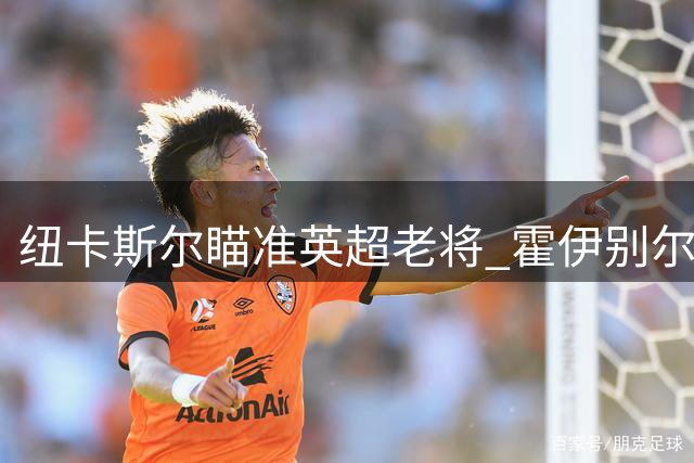 纽卡斯尔瞄准英超老将 霍伊别尔或成夏窗新援