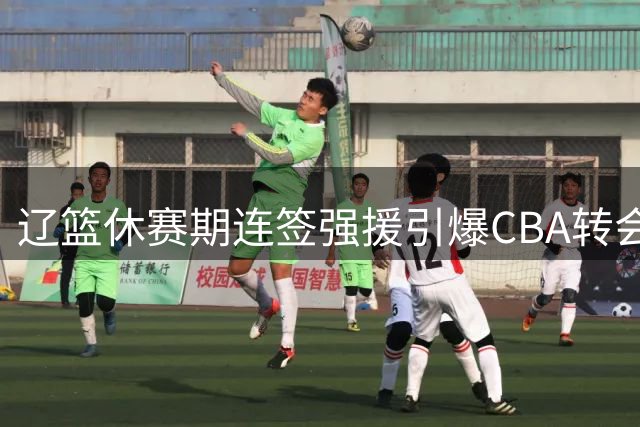 辽篮休赛期连签强援引爆CBA转会市场 韩德君升职后多线出击